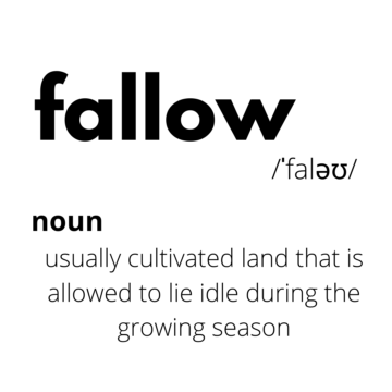 The Fallow And What Comes Next