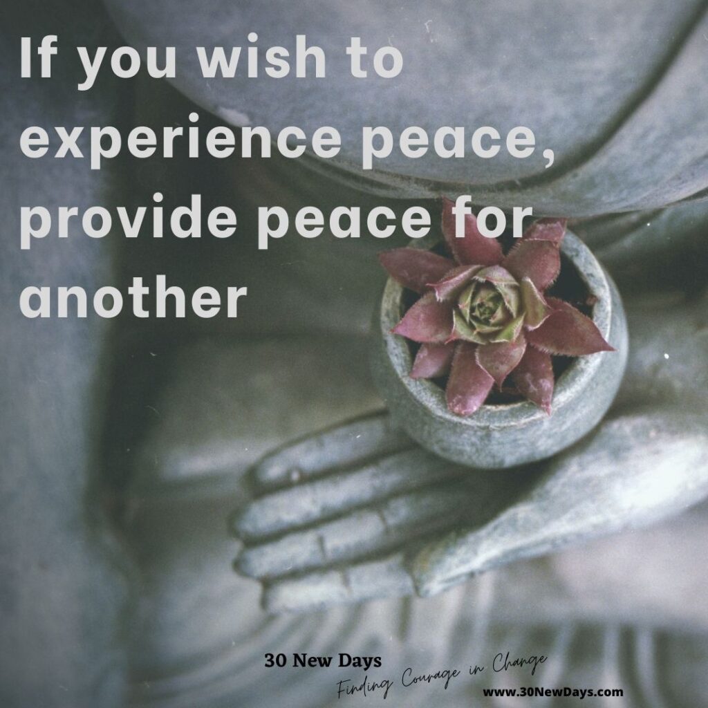 If you wish to experience peace, provide peace for another